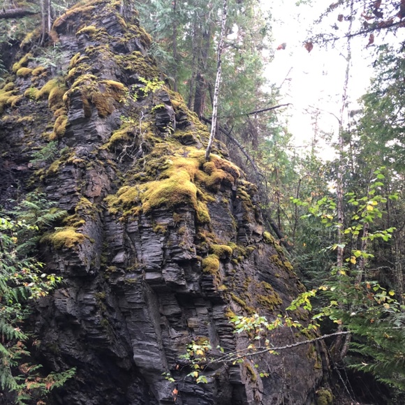 Meet your Posher, Luna - Picture 5 of 15